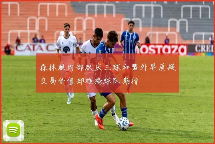 森林狼内部欢庆三球加盟外界质疑交易价值却难掩球队期待