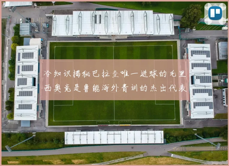 冷知识揭秘巴拉圭唯一进球的毛里西奥竟是鲁能海外青训的杰出代表